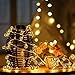 Battery Operated String Lights, 21.3ft 30 LED Beexcellent Globe Lights Waterproof Fairy Lights with Remote Controller for Christmas Garden Home Patio Wedding Party Holiday Decoration (Warm White)
