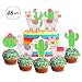 Yaaaaasss! Llama Cupcake Topper Cactus Cake Decor Mexican Fiesta Cinco De Mayo Party Decor Baby Shower Birthday Party Supplies 48pcs primary