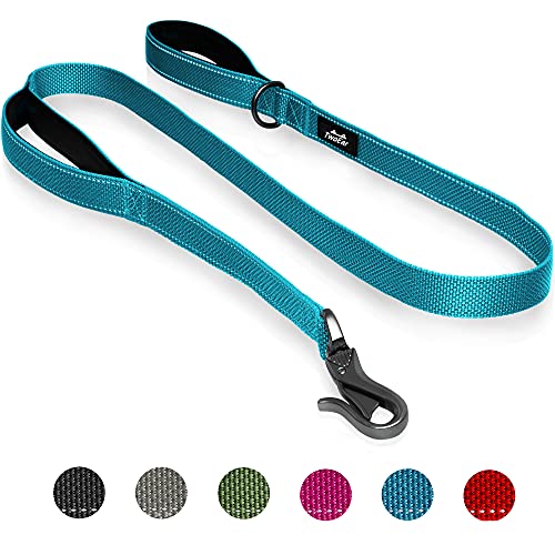 dog leash blue