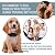 ZENNO No Bark Collar for Small, Medium, Large Dogs - Upgrade Stop Barking Collar for Dogs with Vibration and Sound - Humane and Safe Anti Bark Collar for Dogs - 100% Waterproof Bark Collar