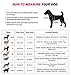 FAYOGOO Dog Vest Harness for Service Dogs, Comfortable Padded Dog Training Vest with Reflective Patches and Handle for Large Medium Small Dogs