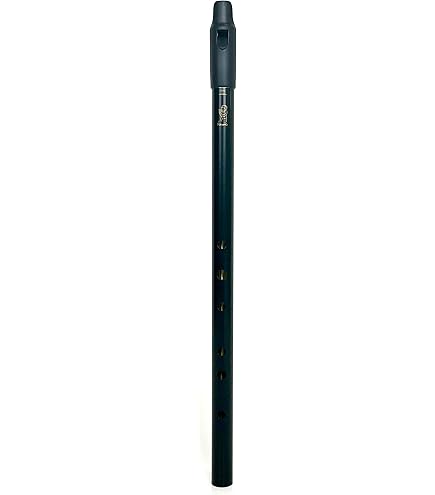 Amazon.com: Howard Products LOW D WHISTLE, black BLK : Musical