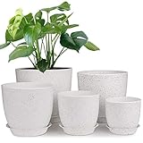 HOMENOTE Plastic Planter 7/6/5.5/4.8/4.5 Inch