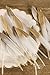 Ling's moment 25pcs Gold Dipped Off White Feathers for Boho Wedding Party Baby Shower Nursery Home Decor