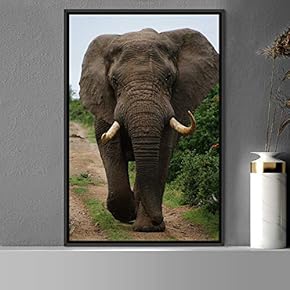 signwin Framed Canvas Wall Art Elephants Animals Dramatic...