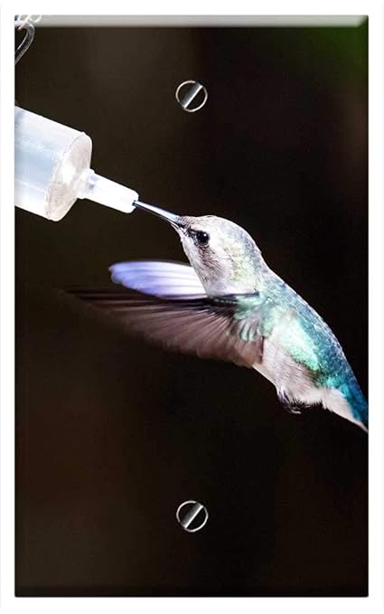 Amazon Com Single Gang Blank Wall Plate Cover Cuba Hummingbird
