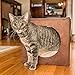 Cat Condo Pet Cube (15x15x15) - Cat House Pet Bed Hideaway for Your Kitty's Privacy and Entertainment! Durable, Washable, Easy to Clean & Non-Toxic Cat Bed - Large 8.5