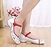 AvaCostume Embroidery Womens Classics Flats Rubber Sole Casual Shoes, White2 37