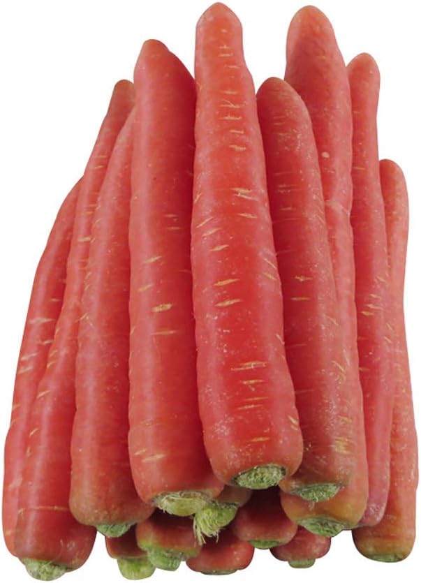 Giant Carrot Seeds 700+ Red Sweet Carrot Highest Quality Seeds for Home