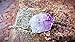 BOUTIQUELOVIN Purple Amethyst Quartz Stone Healing Crystal Pendant Necklace 30