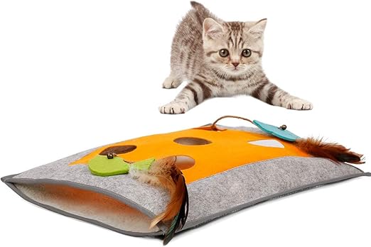 cat play mat