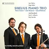 SIBELIUS PIANO TRIO                                image