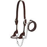 Weaver Leather Livestock Dairy/Beef Rounded Show Halter, Medium, Brown