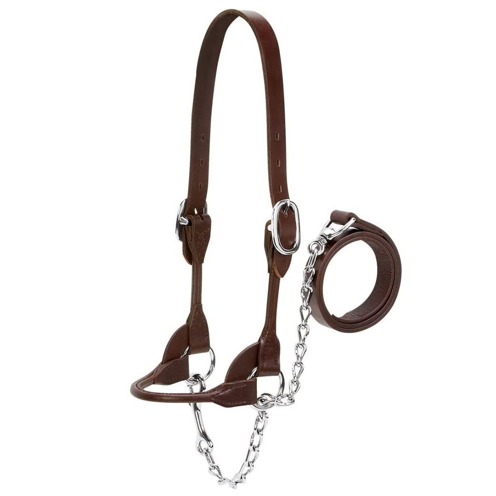 Weaver Leather Livestock Dairy/Beef Rounded Show Halter, Brown, X-Small