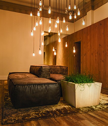 Hobby Blume Natura Pflanzkasten, rechteckig mit autoriego, dunkel, 86 x 47 x 46 cm – Bild 5