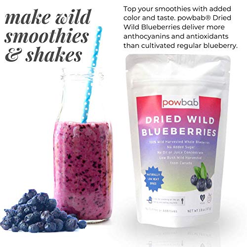 powbab Dried Wild Blueberries. 100 Whole Dried Blueberries No Sugar
