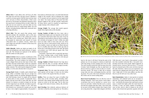 Shooter's Bible Guide to Deer Hunting: A Master Hunter's Tactics on the Rut, Scrapes, Rubs, Calling, Scent, Decoys, Weather, Core Areas, and More