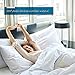 Cosy House Collection Everyday 1500 Series Pillowcases - Bedroom Essentials - Luxury Hotel Quality - Silky Soft & Smooth - Gentle & Skin Friendly - Set of 2 (Standard, Cream)