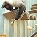 BIG NOSE - Cat Scratching Post with Leaser Feather and Fluffly Ball Wall Mount Shelves and Steps Sturd Wall Version