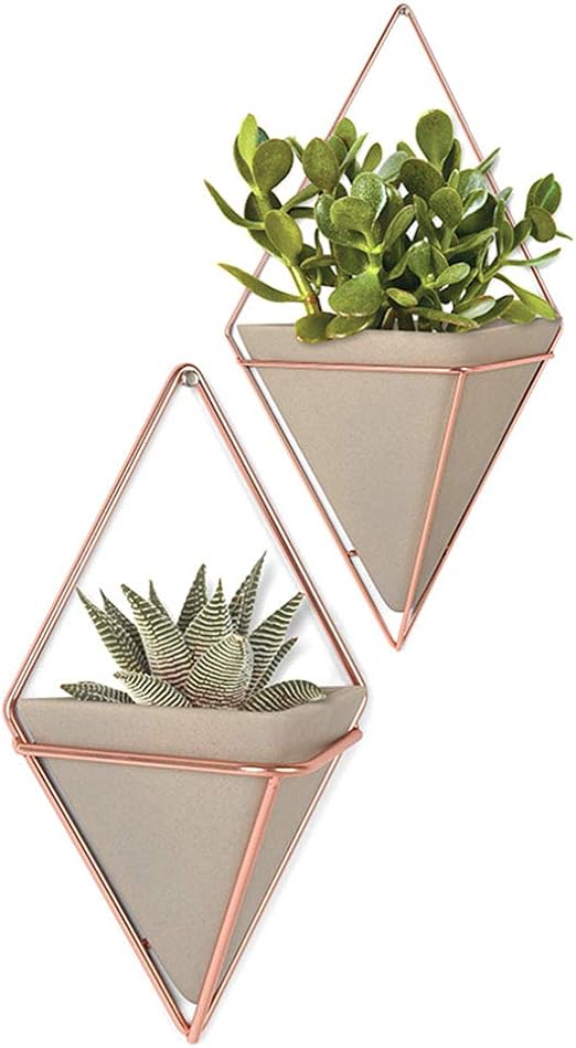 Soportes para plantas Soporte de Flores Soporte de Flores de Metal ...