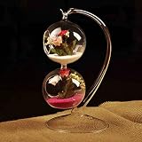 Hanging Ball Shape Glass Hydroponic Vase DIY Micro Landscape Bottle Home Garden Party Decoration