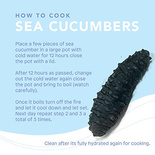 SB Organics Black Pin Large - Wild Caught Sea Cucumber Dried All Natural Nutritious - 8 oz.