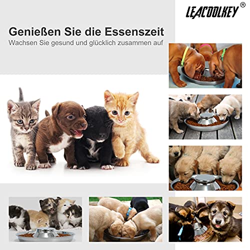 2 Stücke Welpen Edelstahl Hundenapf - LEACOOLKEY Hundefutter Wasserschale Langsam fütternde Entwöhnungsschüssel Haustiere für Kleine Hunde Katzen Haustiere