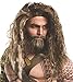 Rubies Costume Co. Men's Batman V Superman: Dawn of Justice Aquaman Beard and Wig