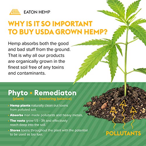 6 Eaton+Hemp+Complete+Superfood+Aminoacids