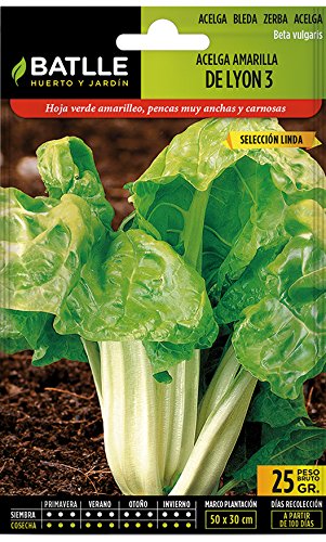Amazon.es: Semillas Batlle: Semillas Hortícolas