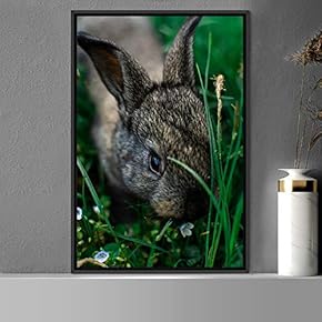 signwin Framed Canvas Wall Art Bunny Animals Bedroom...