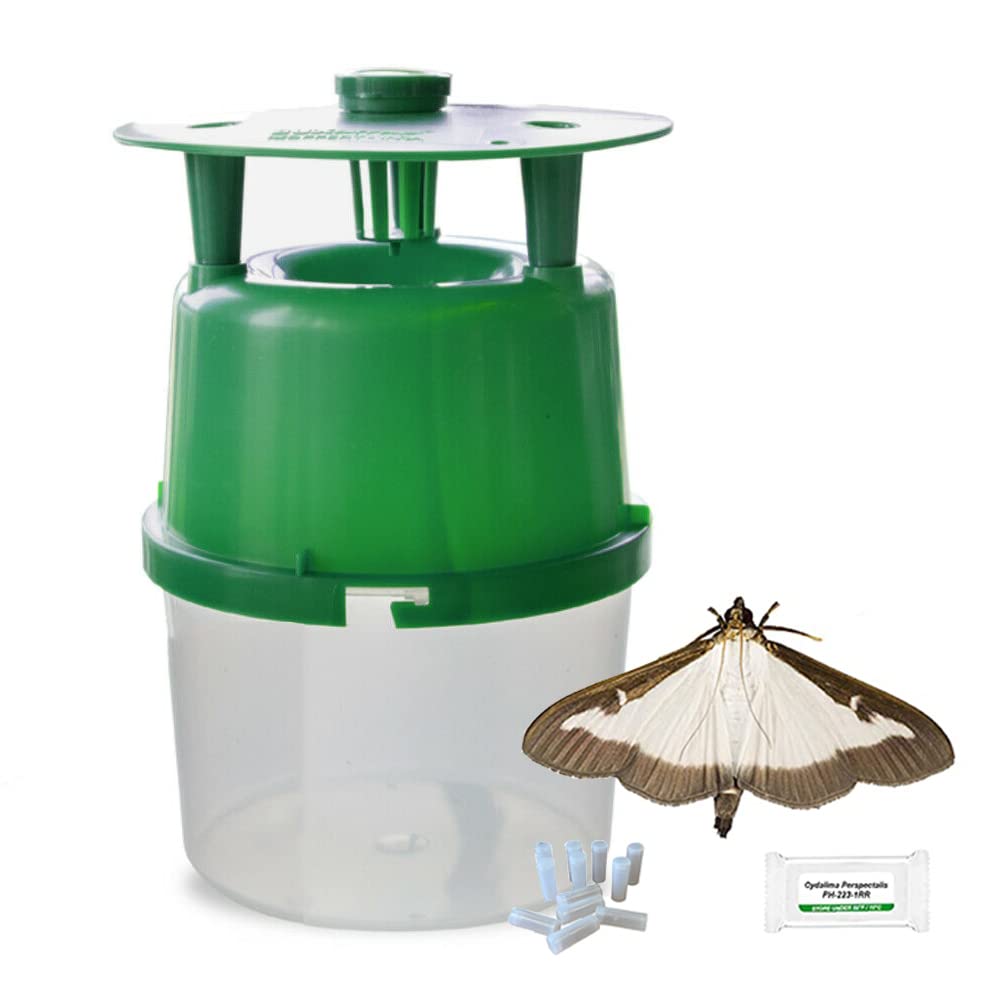 PlantPro Refillable Box Tree Moth Trap with 4 Pheromone Lures – Effective Protection for Buxus Plants & Gardens