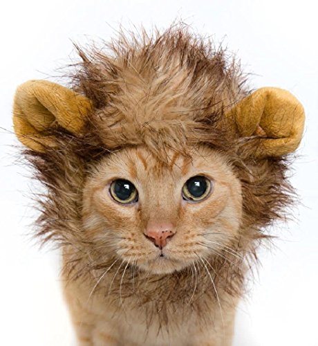 Lion Mane Costume for Cats & Dogs – FREE Feathered Catnip Toy Included – Cute Halloween Pet Costume for Yorkies, Maltese, Puppies, Cats, & Kittens