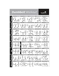 NewMe Fitness Dumbbell Workout Exercise Poster - Now Laminated - Strength Training Chart - Build Muscle, Tone & Tighten - Home Gym Weight Lifting Routine - Body Building Guide w   Weights