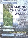 Walking Through Walls: Practical Spirituality for an Impractical World by 