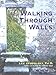 Walking Through Walls: Practical Spirituality for an Impractical World by 