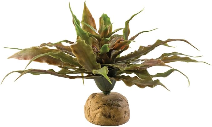 Exo Terra Star Cactus 