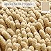 MAYSHINE Bathroom Rug Set | Soft Plush Chenille Bath Mats with PVC Non-Slip Backing, Absorbent Washable Quick Dry Area Rug Sets for Bathroom Floor | 32