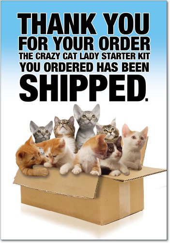 8016Z ‘Cat Lady Starter Kit’ – Funny Birthday Greeting Card with 5″ x 7″ Envelope by NobleWorks