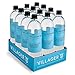 Villager Goods Ionized Alkaline 9.5 pH Bottled Water, 1 Liter, (Pack of 12)