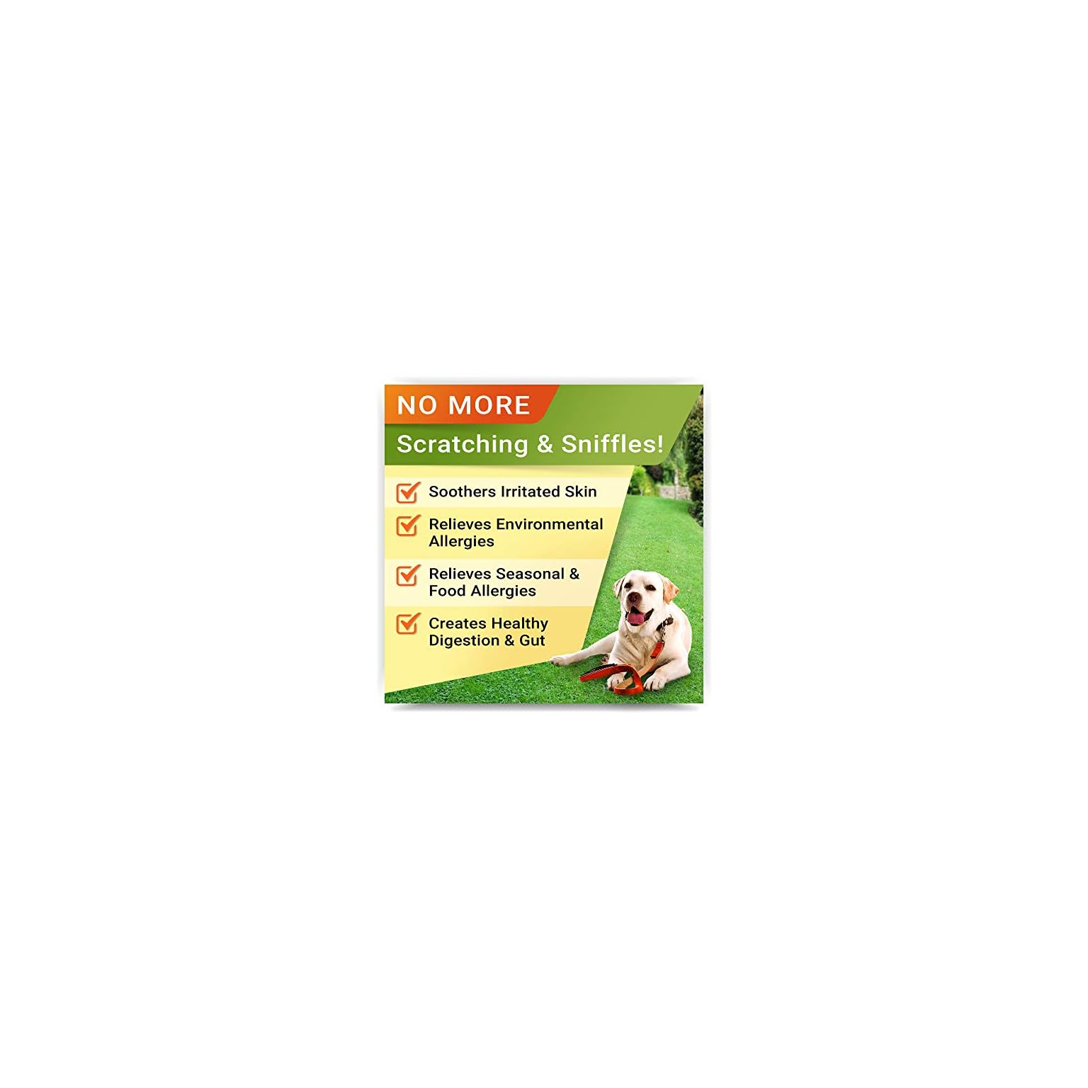 STRELLALAB Allergy Relief Chews for Dogs with Omega 3 + Probiotics