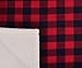 Red Buffalo Plaid Sherpa Throw TV Blanket 50