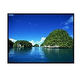 Excelvan Portable and Collapsible 72 Inch, 4:3 PVC Fabric Matte White With 1.1 Gain Projector Projection Screen Material Offers 57