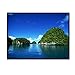 Excelvan Portable and Collapsible 72 Inch, 4:3 PVC Fabric Matte White With 1.1 Gain Projector Projection Screen Material Offers 57