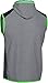 Under Armour Men's The ColdGear Infrared Fleece Vest