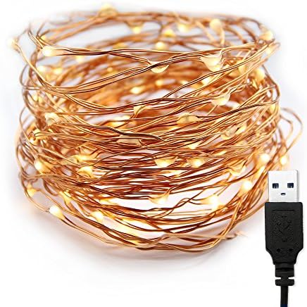 Goodland's LED String Lights,Outdoor Light Strings Ambiance Lighting for Gardens,Patios,Parties,Wedding,Christmas (100LEDs USB Powered︱Warm-white)