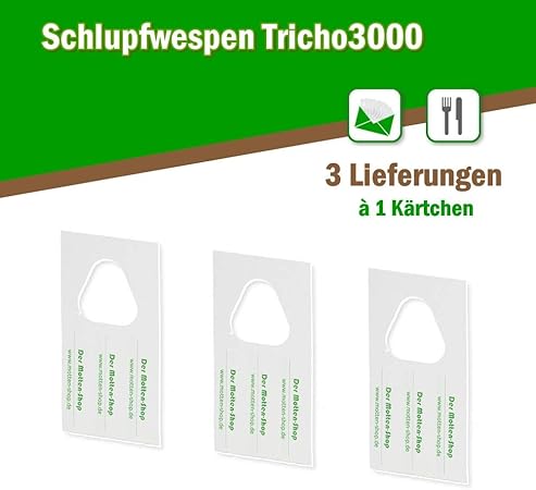 Der Motten Shop Schlupfwespen Gegen Lebensmittelmotten 3000 Stuck