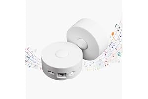 XLW Voice Recorder,16Min Voice Recording Button for Stuffed Animals, Bear,Plush, Baby Doll Toy,Pillow.16MB Record Custom Messages for Xmas Halloween New Year Birthday Creative DIY Present (2P White)