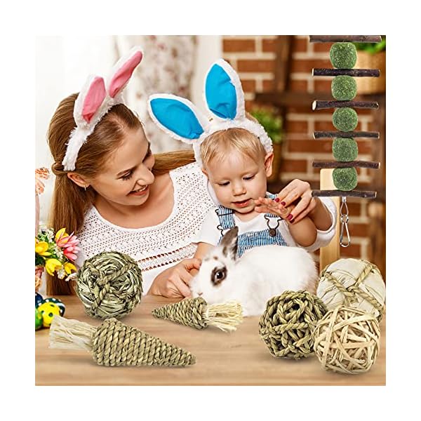 ERKOON Guinea Pig Treat Toys, Small Animal Chew Boredom Breaker Natural Rabbit Hamster Teeth Care Molar Grass Balls…