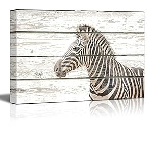 Zebra on Vintage Wood Textured Background Rustic Country Style